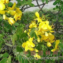 �ƻ�����