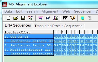 ͼ�����MEGA       <wbr>5����ϵͳ������