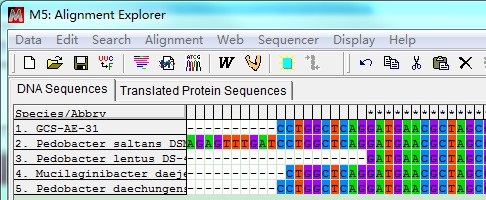 ͼ�����MEGA       <wbr>5����ϵͳ������