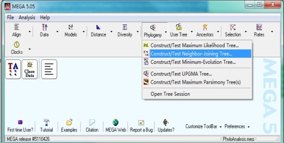 ͼ�����MEGA       <wbr>5����ϵͳ������