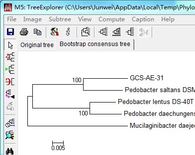 ͼ�����MEGA       <wbr>5����ϵͳ������