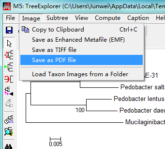 ͼ�����MEGA       <wbr>5����ϵͳ������