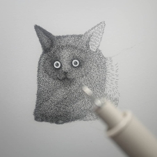 ����ϸ�߹����Ŀɰ�è�䣺Luis Coelho�Ŀɰ��廭��Ʒ